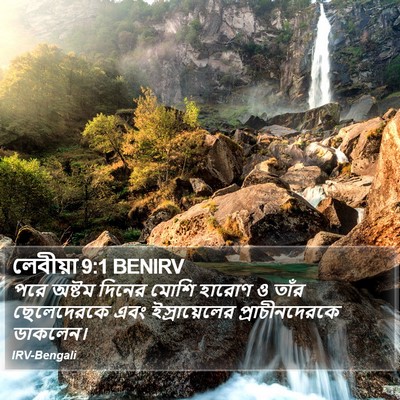 লেবীয়া 9:1 BENIRV Bible Verse Image
