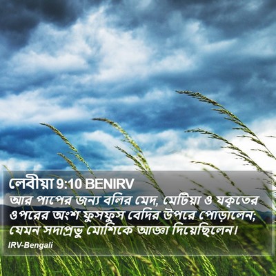 লেবীয়া 9:10 BENIRV Bible Verse Image