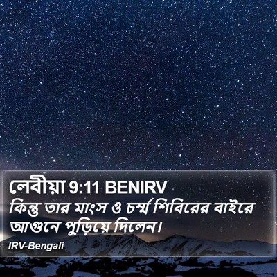 লেবীয়া 9:11 BENIRV Bible Verse Image