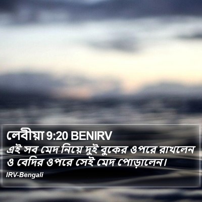 লেবীয়া 9:20 BENIRV Bible Verse Image