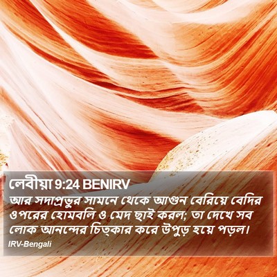 লেবীয়া 9:24 BENIRV Bible Verse Image