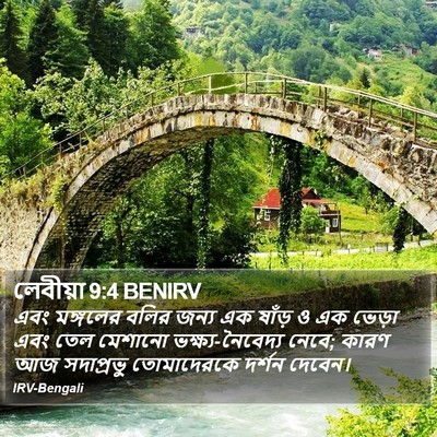 লেবীয়া 9:4 BENIRV Bible Verse Image