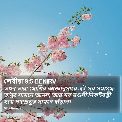 লেবীয়া 9:5 BENIRV Bible Verse Image