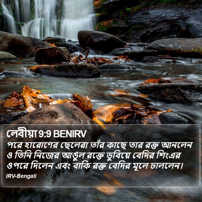 লেবীয়া 9:9 BENIRV Bible Verse Image