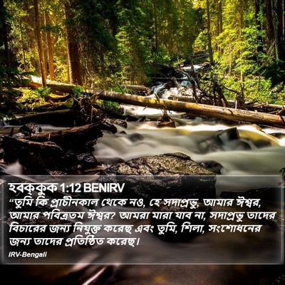 হবক্কুক 1:12 BENIRV Bible Verse Image