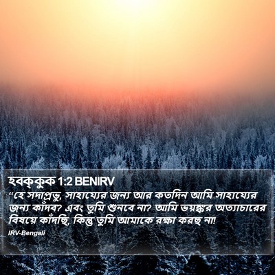 হবক্কুক 1:2 BENIRV Bible Verse Image