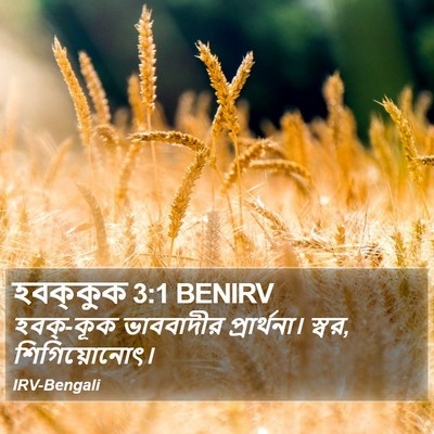 হবক্কুক 3:1 BENIRV Bible Verse Image
