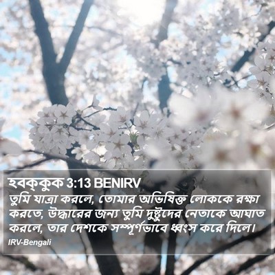 হবক্কুক 3:13 BENIRV Bible Verse Image