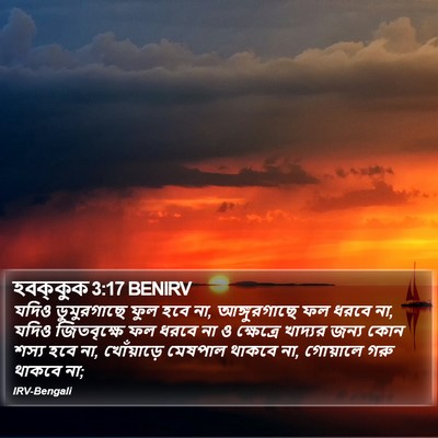 হবক্কুক 3:17 BENIRV Bible Verse Image