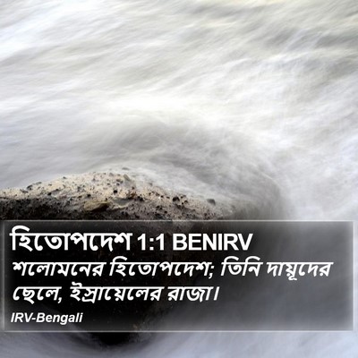 হিতোপদেশ 1:1 BENIRV Bible Verse Image