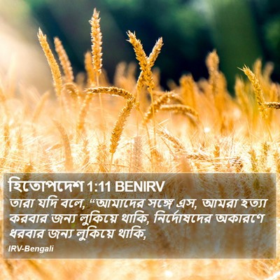 হিতোপদেশ 1:11 BENIRV Bible Verse Image