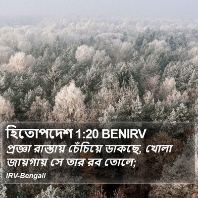 হিতোপদেশ 1:20 BENIRV Bible Verse Image