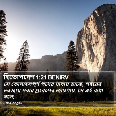 হিতোপদেশ 1:21 BENIRV Bible Verse Image