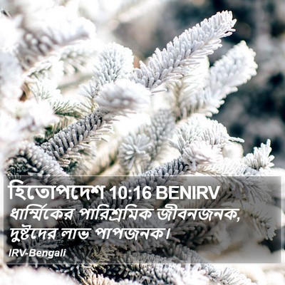 হিতোপদেশ 10:16 BENIRV Bible Verse Image