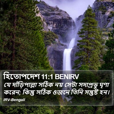 হিতোপদেশ 11:1 BENIRV Bible Verse Image