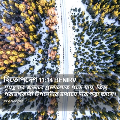 হিতোপদেশ 11:14 BENIRV Bible Verse Image