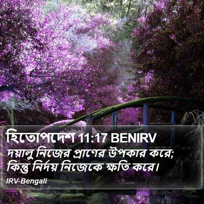 হিতোপদেশ 11:17 BENIRV Bible Verse Image
