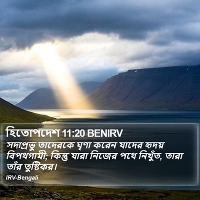 হিতোপদেশ 11:20 BENIRV Bible Verse Image