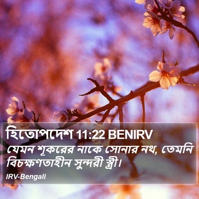 হিতোপদেশ 11:22 BENIRV Bible Verse Image