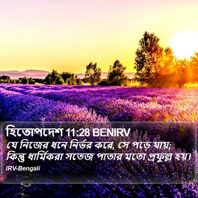 হিতোপদেশ 11:28 BENIRV Bible Verse Image