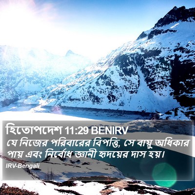 হিতোপদেশ 11:29 BENIRV Bible Verse Image