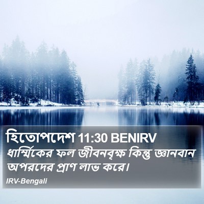 হিতোপদেশ 11:30 BENIRV Bible Verse Image