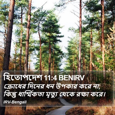 হিতোপদেশ 11:4 BENIRV Bible Verse Image