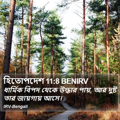 হিতোপদেশ 11:8 BENIRV Bible Verse Image