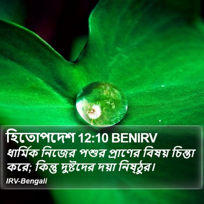 হিতোপদেশ 12:10 BENIRV Bible Verse Image