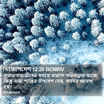 হিতোপদেশ 12:20 BENIRV Bible Verse Image