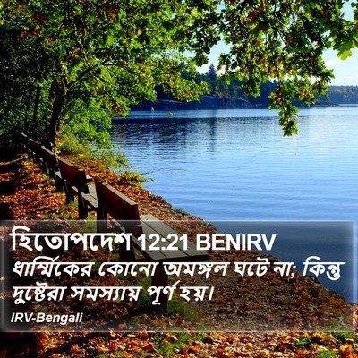 হিতোপদেশ 12:21 BENIRV Bible Verse Image