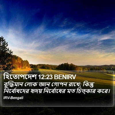 হিতোপদেশ 12:23 BENIRV Bible Verse Image