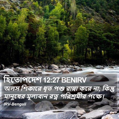 হিতোপদেশ 12:27 BENIRV Bible Verse Image