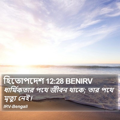হিতোপদেশ 12:28 BENIRV Bible Verse Image