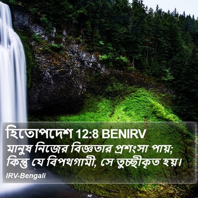 হিতোপদেশ 12:8 BENIRV Bible Verse Image