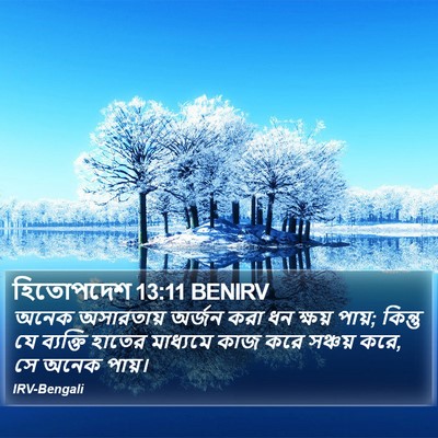 হিতোপদেশ 13:11 BENIRV Bible Verse Image