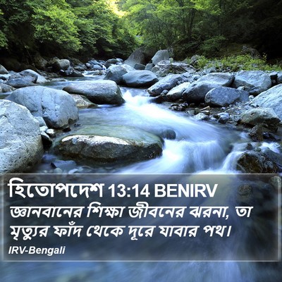 হিতোপদেশ 13:14 BENIRV Bible Verse Image