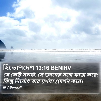 হিতোপদেশ 13:16 BENIRV Bible Verse Image