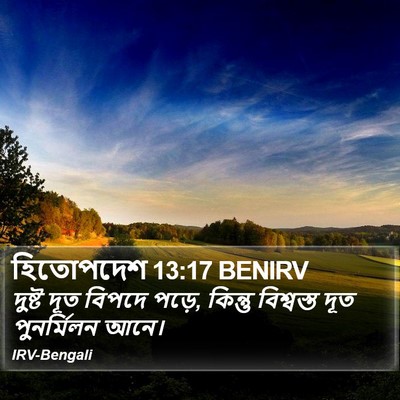 হিতোপদেশ 13:17 BENIRV Bible Verse Image