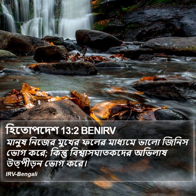 হিতোপদেশ 13:2 BENIRV Bible Verse Image