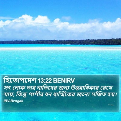 হিতোপদেশ 13:22 BENIRV Bible Verse Image