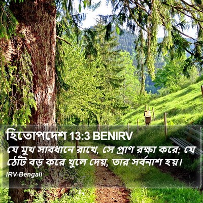 হিতোপদেশ 13:3 BENIRV Bible Verse Image