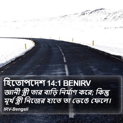 হিতোপদেশ 14:1 BENIRV Bible Verse Image