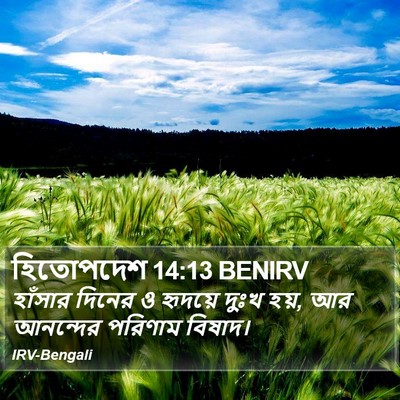 হিতোপদেশ 14:13 BENIRV Bible Verse Image