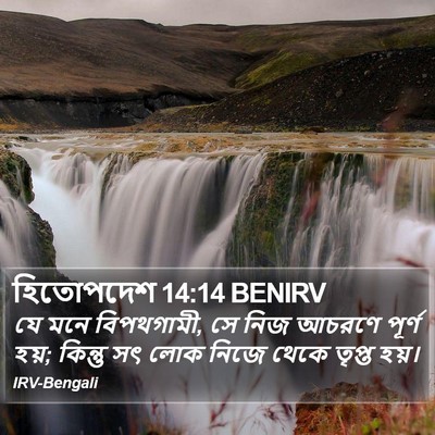 হিতোপদেশ 14:14 BENIRV Bible Verse Image