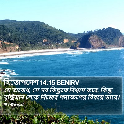 হিতোপদেশ 14:15 BENIRV Bible Verse Image