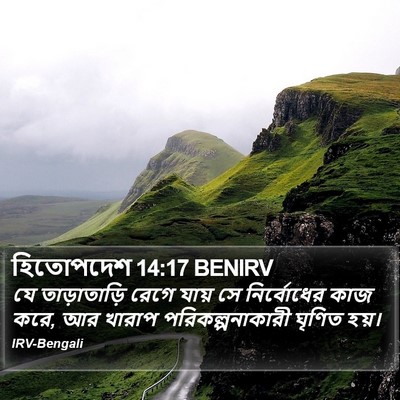 হিতোপদেশ 14:17 BENIRV Bible Verse Image