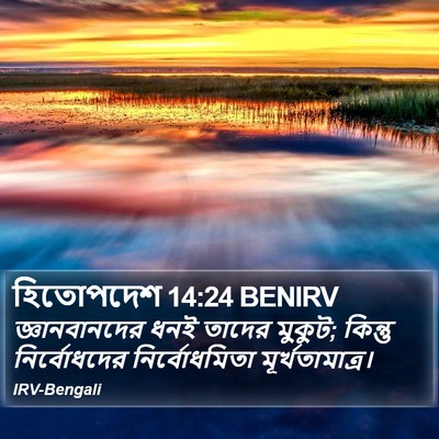 হিতোপদেশ 14:24 BENIRV Bible Verse Image
