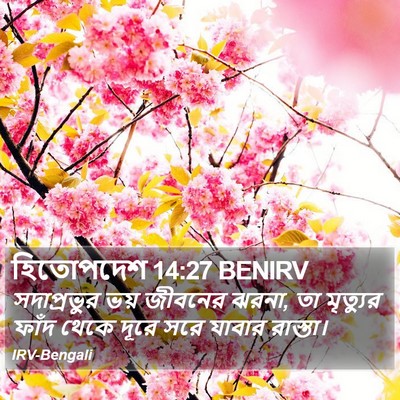 হিতোপদেশ 14:27 BENIRV Bible Verse Image