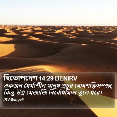 হিতোপদেশ 14:29 BENIRV Bible Verse Image